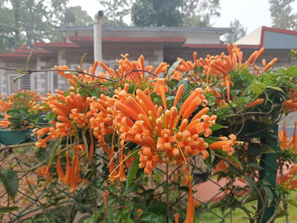 Hotel Coorg Kolamotte Gonikoppal Exterior foto
