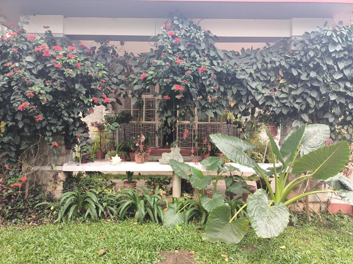 Hotel Coorg Kolamotte Gonikoppal Exterior foto